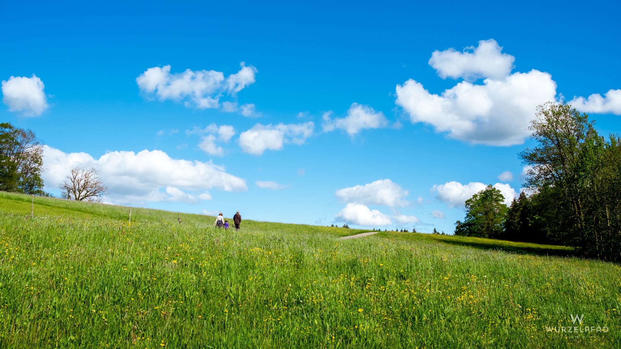 Spaziergänger im Grünen